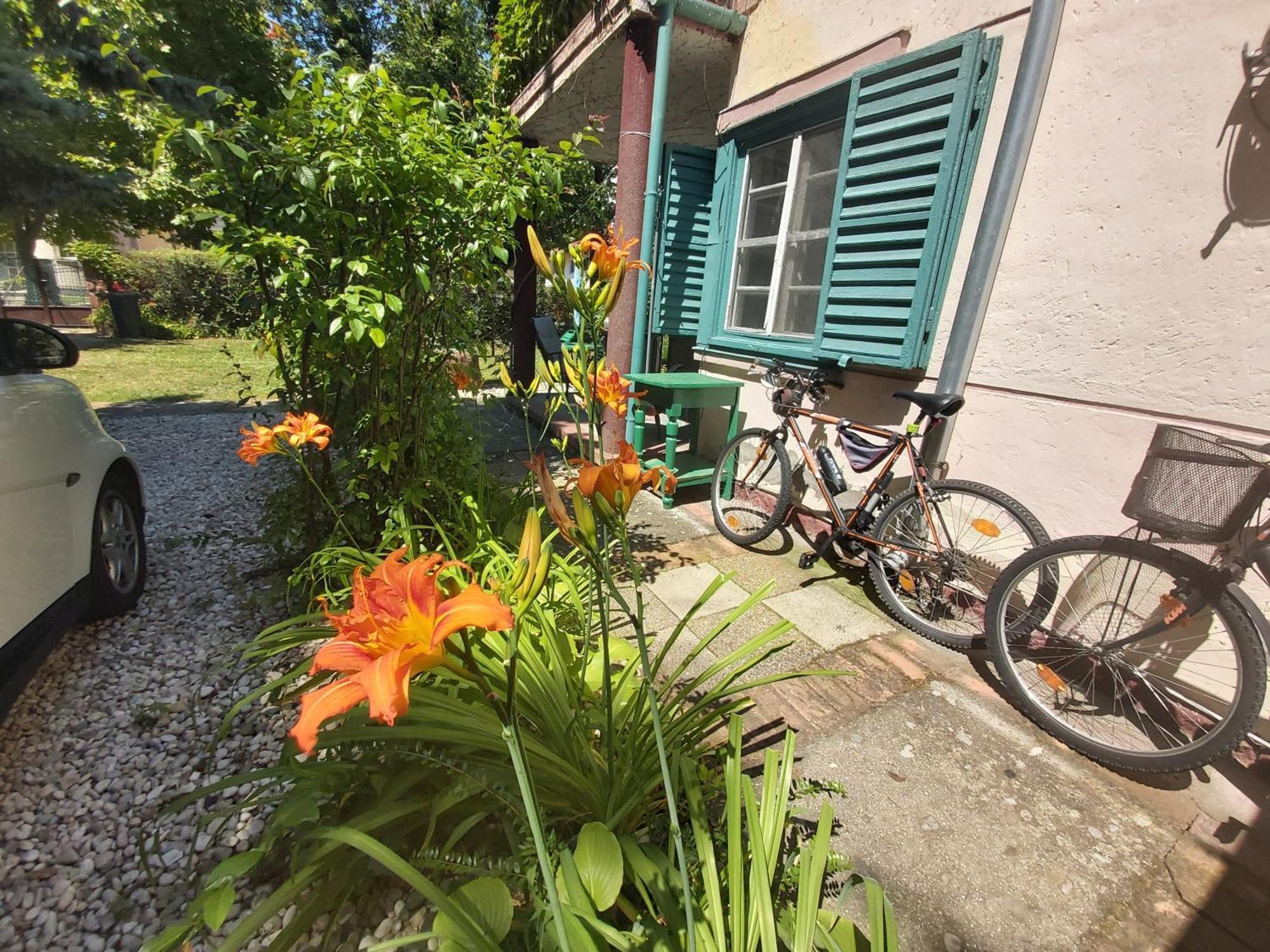 Garden Budha Relax Apartman, Parking, Bbq, Terrace Siófok Exterior foto