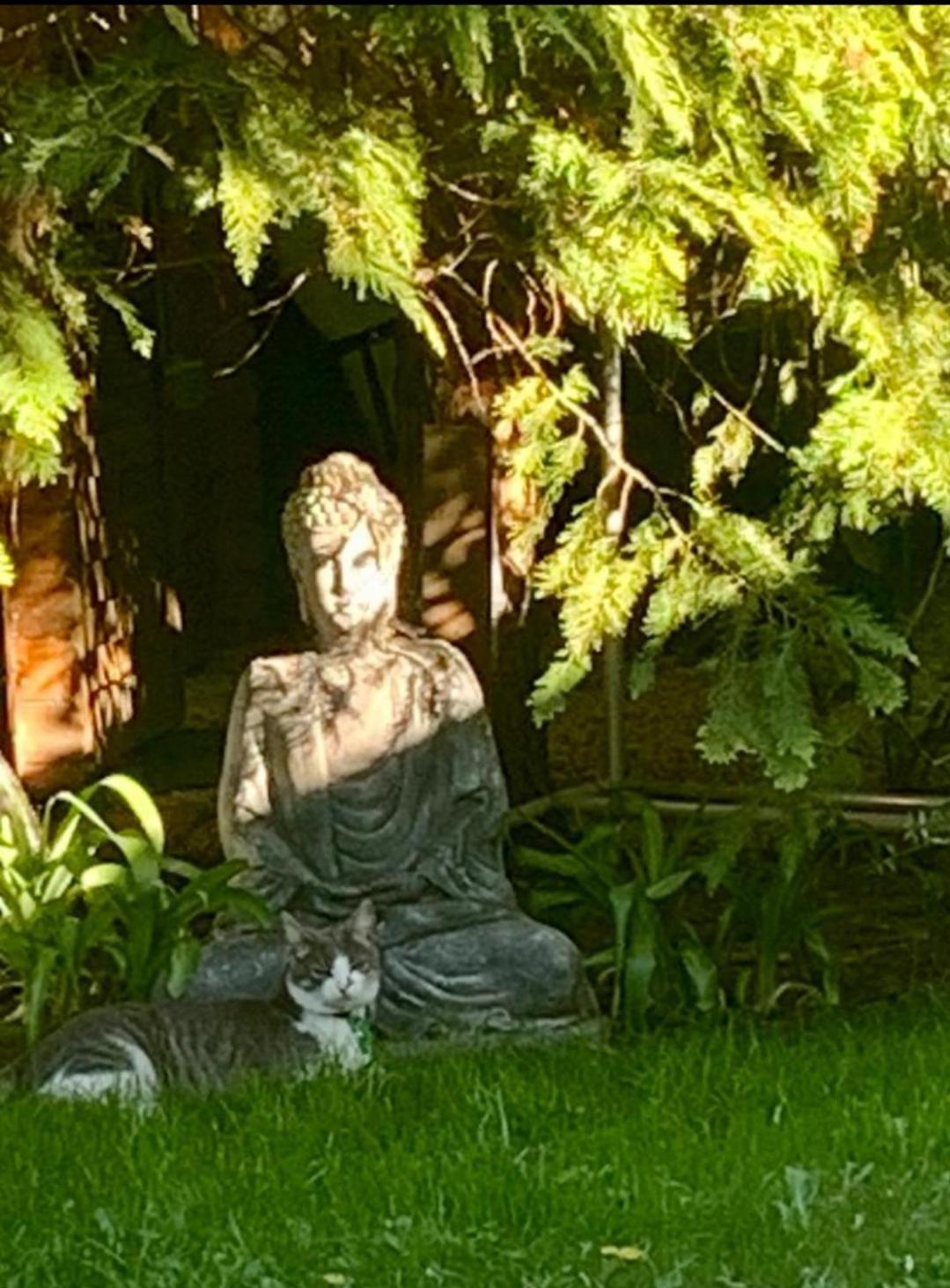 Garden Budha Relax Apartman, Parking, Bbq, Terrace Siófok Exterior foto
